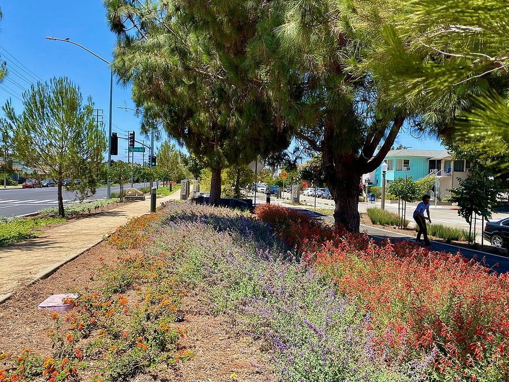 Culver Boulevard Bike Path